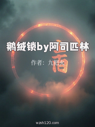 鹅绒锁by阿司匹林