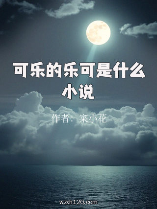 可乐的乐可是什么小说