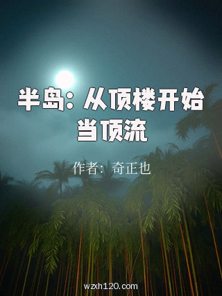 半岛:从顶楼开始当顶流