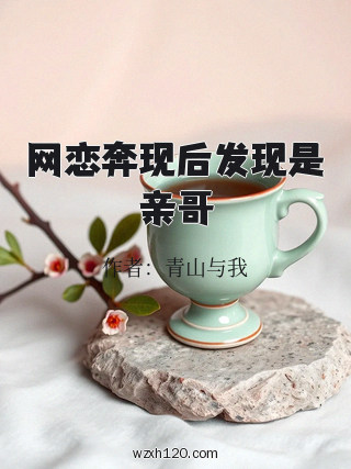 网恋奔现后发现是亲哥