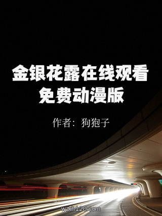 金银花露在线观看免费动漫版