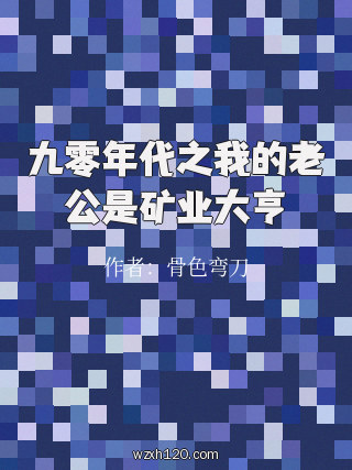 九零年代之我的老公是矿业大亨