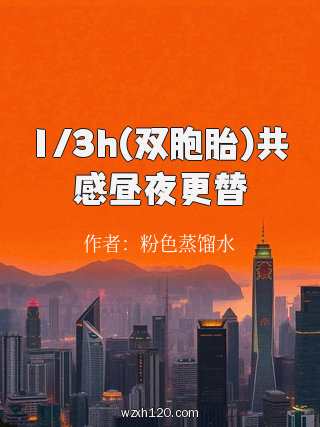 1/3h(双胞胎)共感昼夜更替