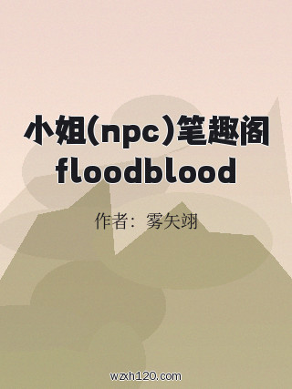 小姐(npc)笔趣阁floodblood
