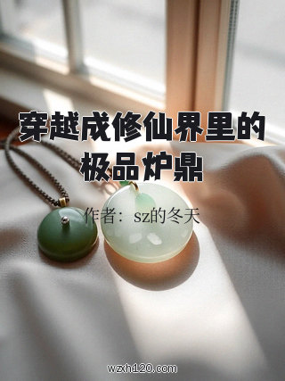 穿越成修仙界里的极品炉鼎