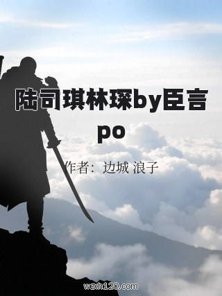 陆司琪林琛by臣言po