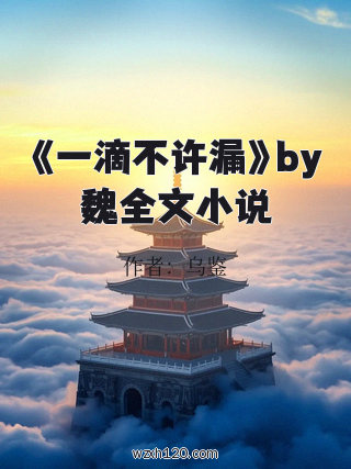 《一滴不许漏》by魏全文小说