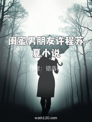 闺蜜男朋友许程苏夏小说