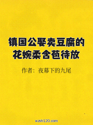 镇国公娶卖豆腐的花婉柔含苞待放