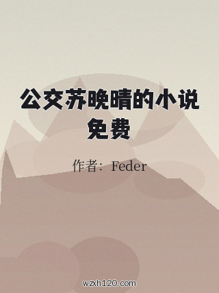 公交苏晚晴的小说免费