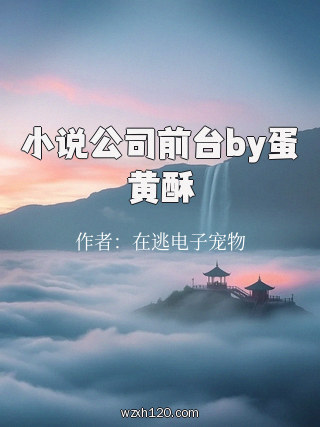 小说公司前台by蛋黄酥
