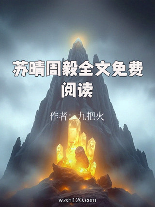 苏晴周毅全文免费阅读