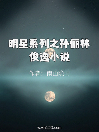 明星系列之孙俪林俊逸小说