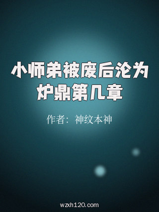 小师弟被废后沦为炉鼎第几章