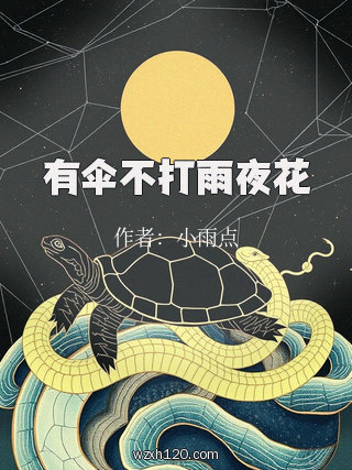 有伞不打雨夜花
