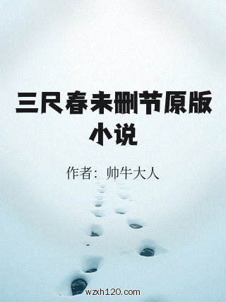 三尺春未删节原版小说