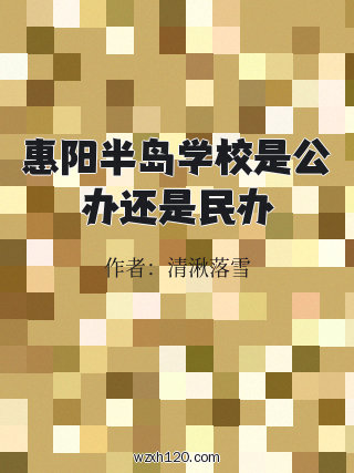 惠阳半岛学校是公办还是民办