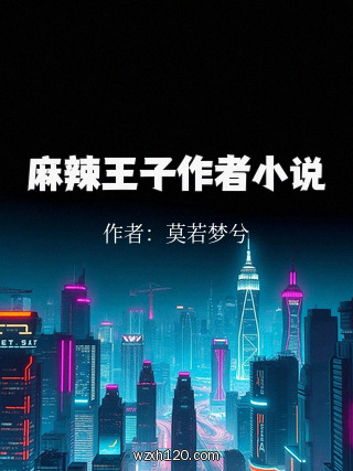 麻辣王子作者小说