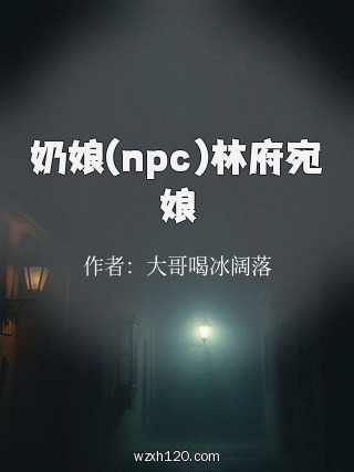奶娘(npc)林府宛娘