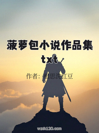 菠萝包小说作品集txt