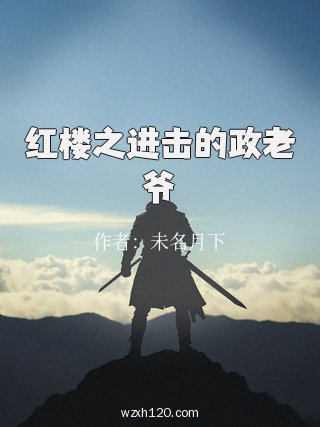 红楼之进击的政老爷