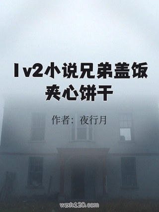1v2小说兄弟盖饭夹心饼干