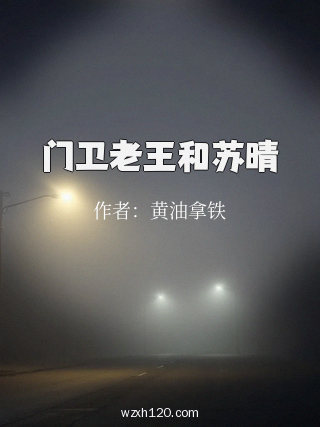 门卫老王和苏晴