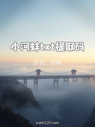 小河蚌txt提取码