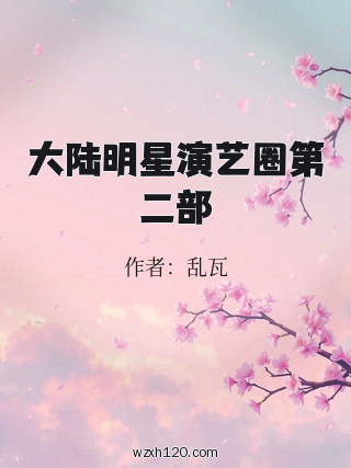 大陆明星演艺圈第二部