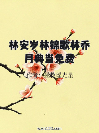 林安岁林锦歌林乔月典当免费