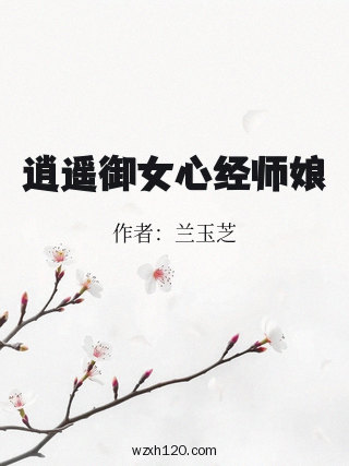逍遥御女心经师娘