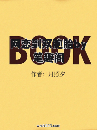 网恋到双胞胎by笔趣阁