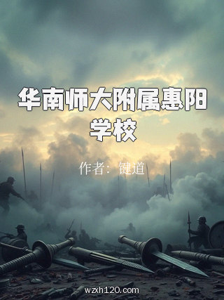 华南师大附属惠阳学校