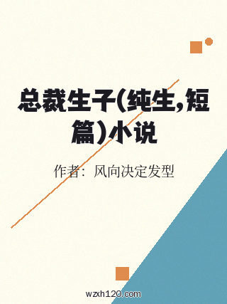 总裁生子(纯生,短篇)小说