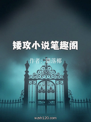矮攻小说笔趣阁