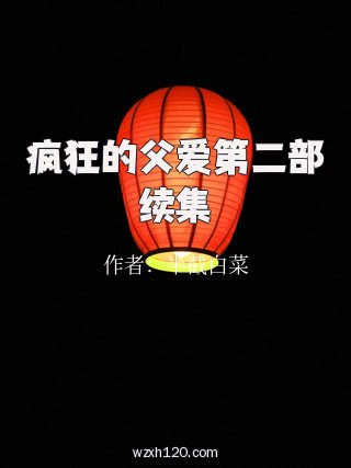 疯狂的父爱第二部续集