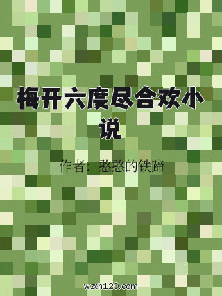 梅开六度尽合欢小说