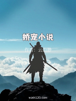 娇宠小说