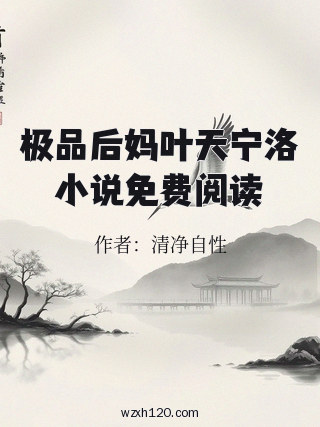 极品后妈叶天宁洛小说免费阅读