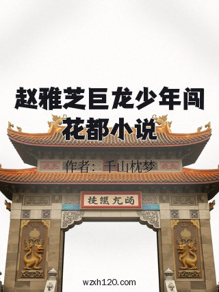 赵雅芝巨龙少年闯花都小说