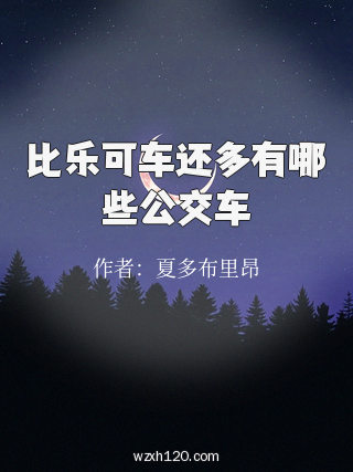 比乐可车还多有哪些公交车