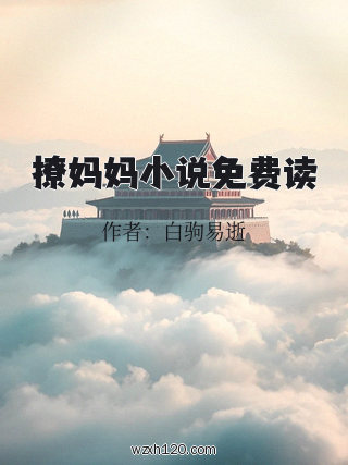 撩妈妈小说免费读