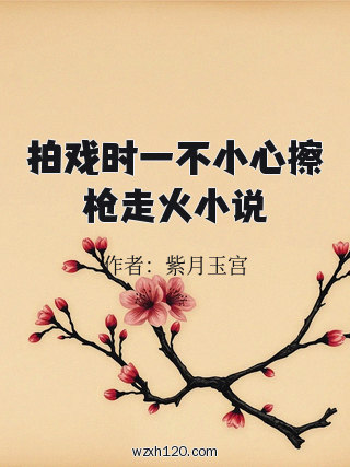 拍戏时一不小心擦枪走火小说