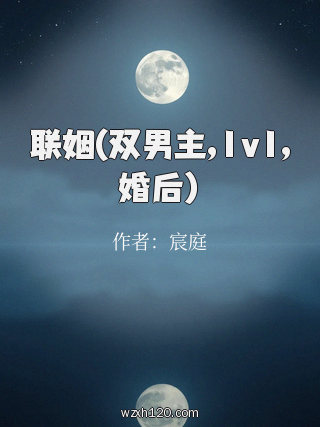 联姻(双男主,1v1,婚后)