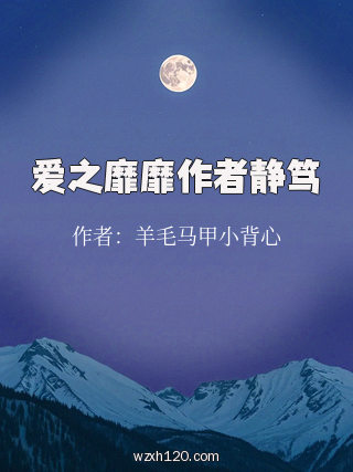 爱之靡靡作者静笃
