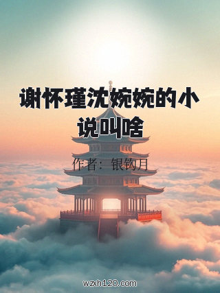 谢怀瑾沈婉婉的小说叫啥