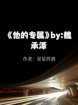 《他的专属》by:魏承泽