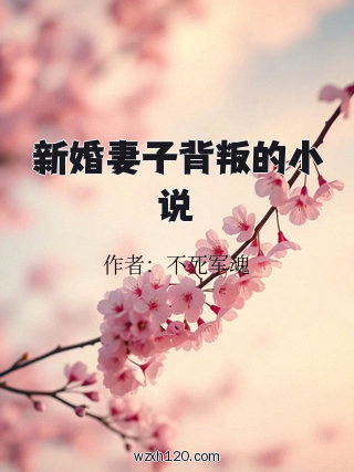 新婚妻子背叛的小说