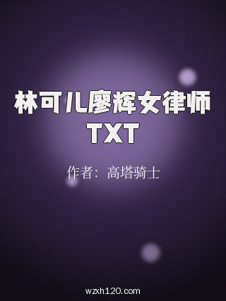 林可儿廖辉女律师TXT