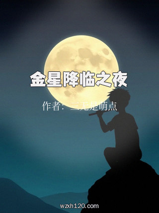 金星降临之夜